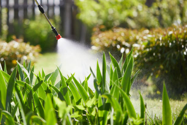 Tamper-Resistant Bait Stations for Rodents in Gardendale