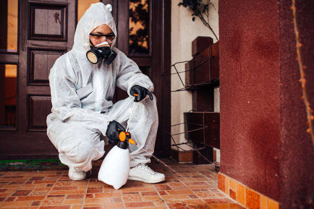 Attic and Crawl Space Rodent Treatment in Gardendale
