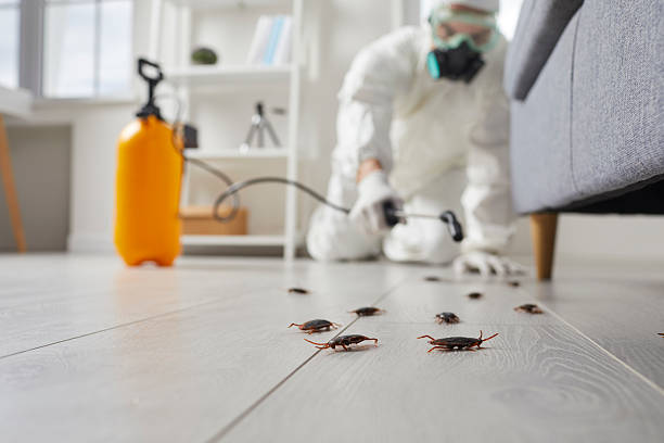 Commercial Rodent Management in Gardendale